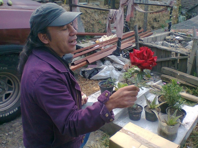 teodulfo torres soriano, el tio