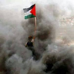 10553461_145243678979341_8891725941718967212_n